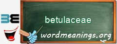 WordMeaning blackboard for betulaceae
